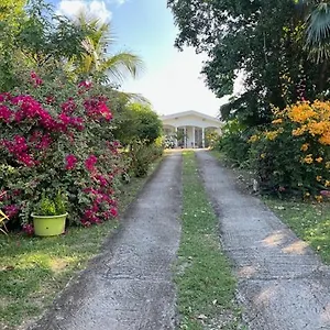 Jardin Des Anges-bungalows Creoles Et Séjour chez l'habitant Le Moule